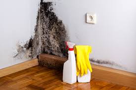 Best Asbestos and Lead Testing During Mold Inspection  in Bridgetown, MS